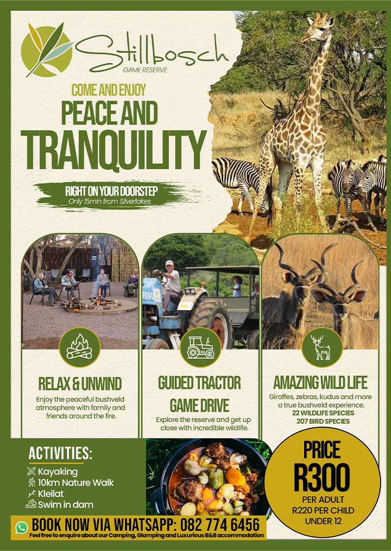 Pamphlet designed by Pixly Media for Stillboach